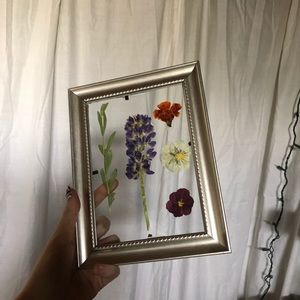 5x7 Floating Frame - Pressed Flowers